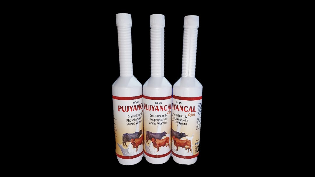 PUJYANCAL GEL